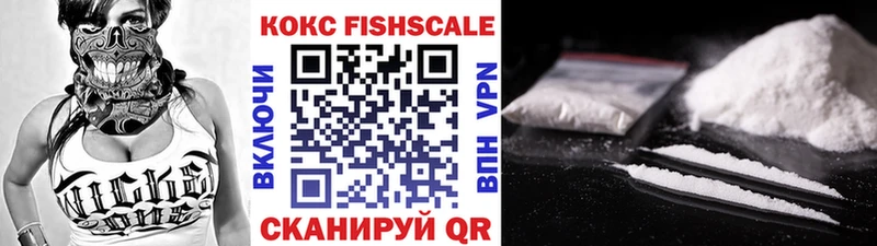 где найти   Воркута  COCAIN Fish Scale 