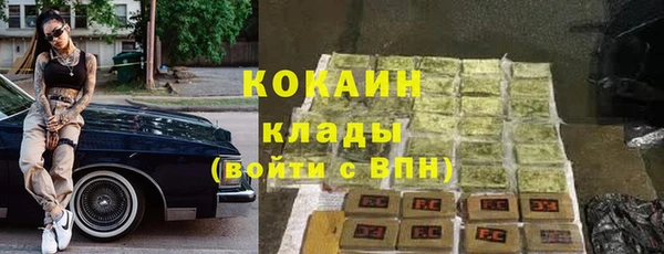 сатива Вязьма