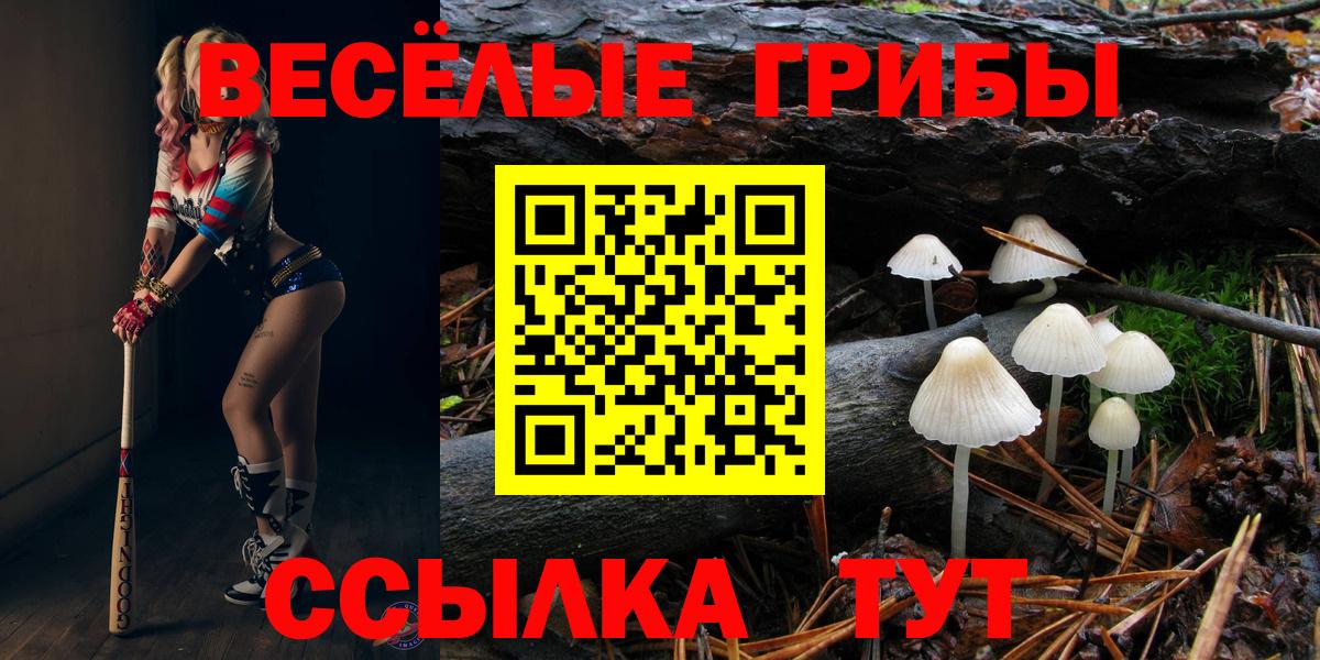Галлюциногенные грибы мицелий Воркута